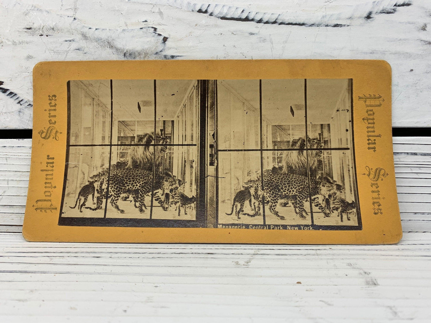 Antique Stereoscope Slides, Lot of 4 Popular Series Stereoviewer Cards, Vintage Ephemera, Scrapbooking Cards -Located at Funkyhouse Vintage Antique Store, Weiser Idaho
