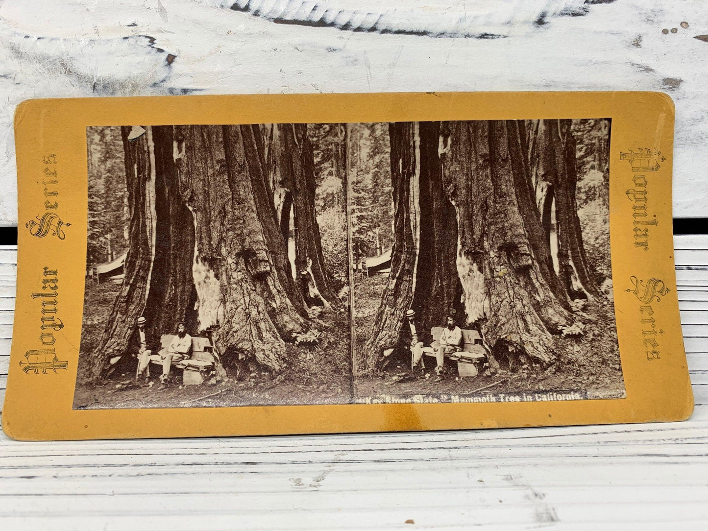Antique Stereoscope Slides, Lot of 4 Popular Series Stereoviewer Cards, Vintage Ephemera, Scrapbooking Cards -Located at Funkyhouse Vintage Antique Store, Weiser Idaho
