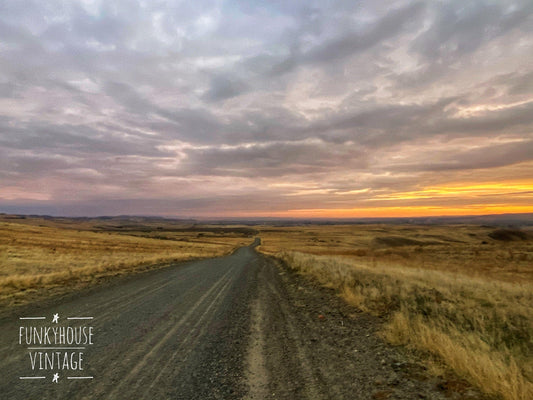 Idaho Landscape Photography, Open Road Wall Art, Weiser Idaho Print, Outdoor Scene Canvas, Boise Photography, River Art, Mountain Meadow -Located at Funkyhouse Vintage Antique Store, Weiser Idaho