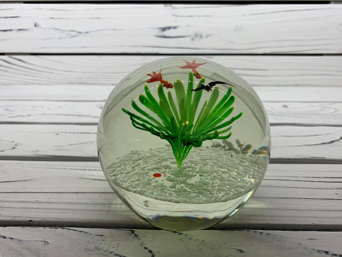 Murano Blown Art Glass Aquarium Paper Weight, Fish and Sea Landscape Scene -Located at Funkyhouse Vintage Antique Store, Weiser Idaho