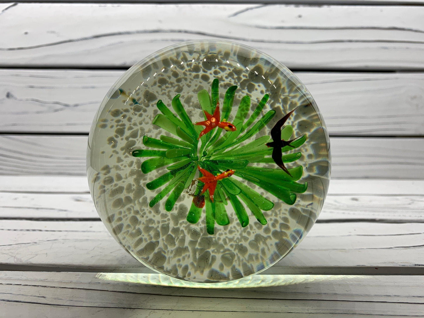 Murano Blown Art Glass Aquarium Paper Weight, Fish and Sea Landscape Scene -Located at Funkyhouse Vintage Antique Store, Weiser Idaho