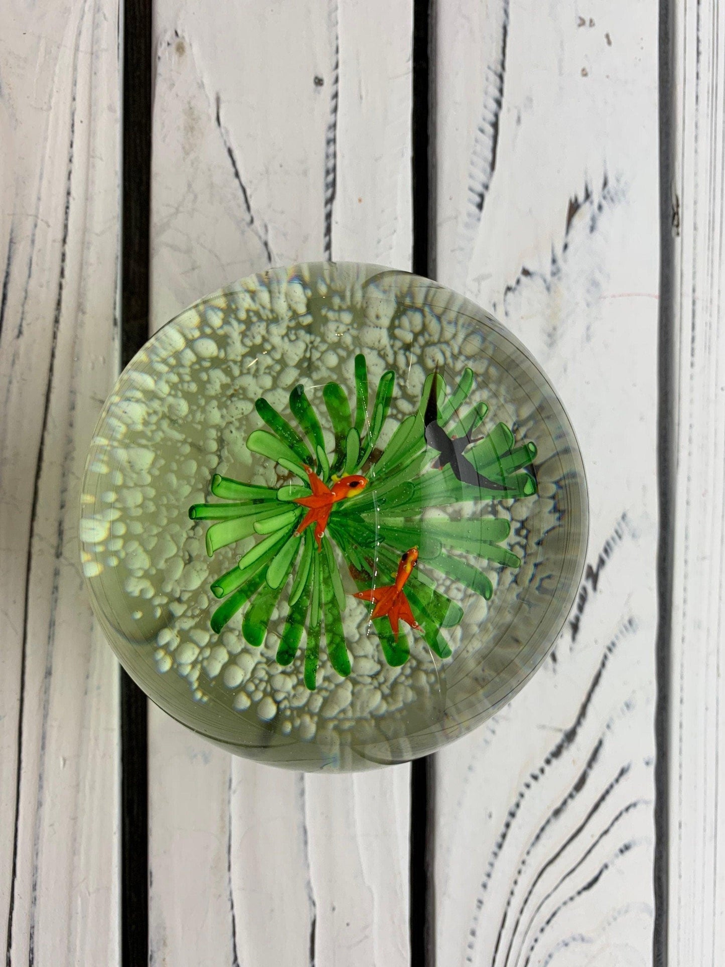 Murano Blown Art Glass Aquarium Paper Weight, Fish and Sea Landscape Scene -Located at Funkyhouse Vintage Antique Store, Weiser Idaho