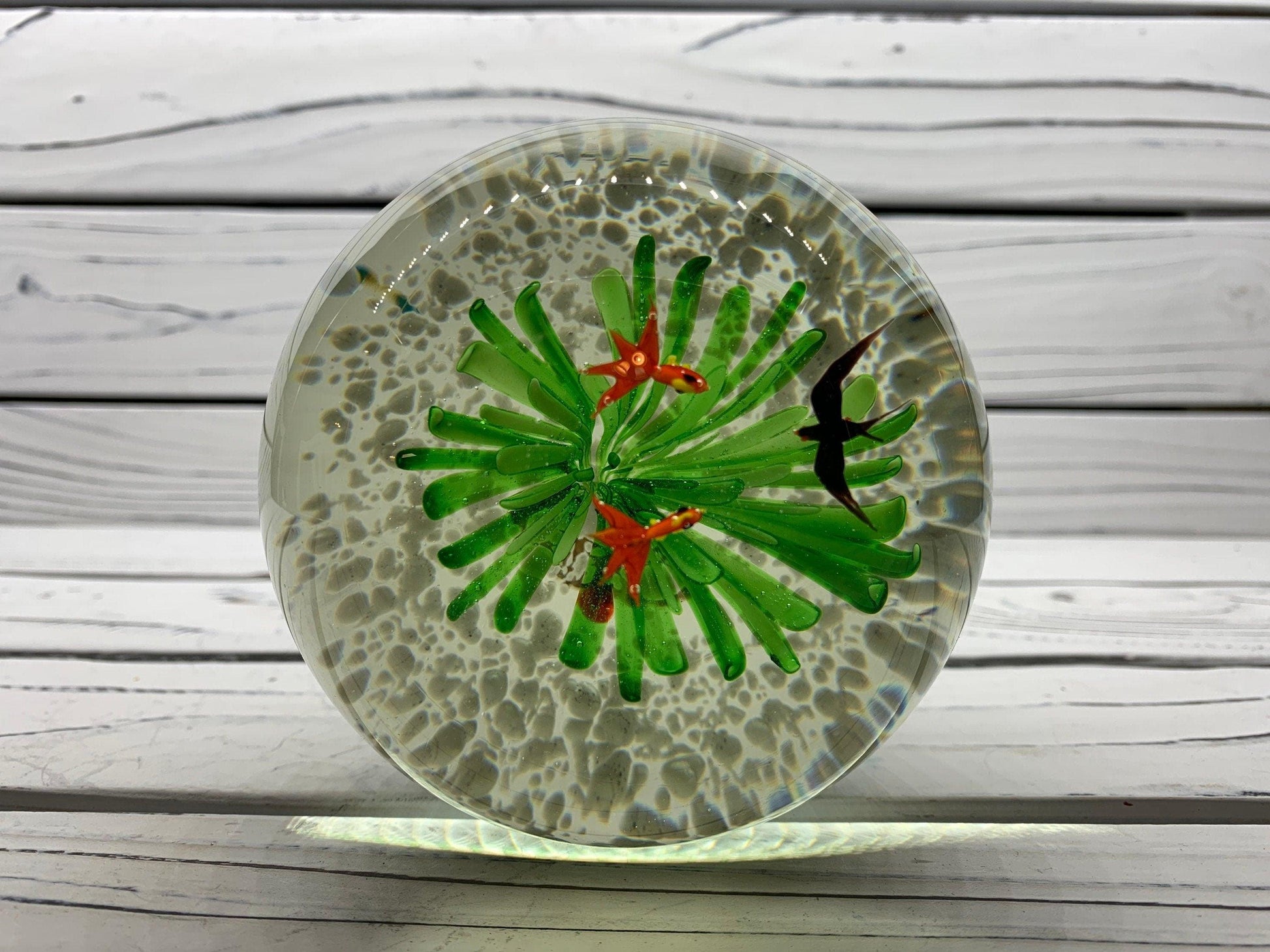 Murano Blown Art Glass Aquarium Paper Weight, Fish and Sea Landscape Scene -Located at Funkyhouse Vintage Antique Store, Weiser Idaho