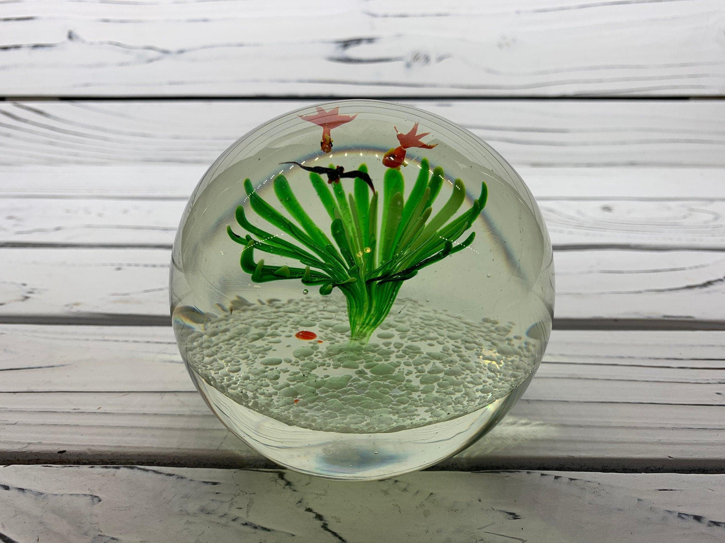 Murano Blown Art Glass Aquarium Paper Weight, Fish and Sea Landscape Scene -Located at Funkyhouse Vintage Antique Store, Weiser Idaho
