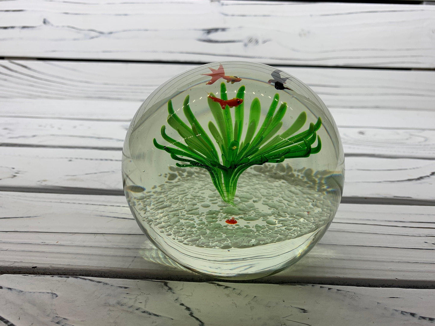 Murano Blown Art Glass Aquarium Paper Weight, Fish and Sea Landscape Scene -Located at Funkyhouse Vintage Antique Store, Weiser Idaho