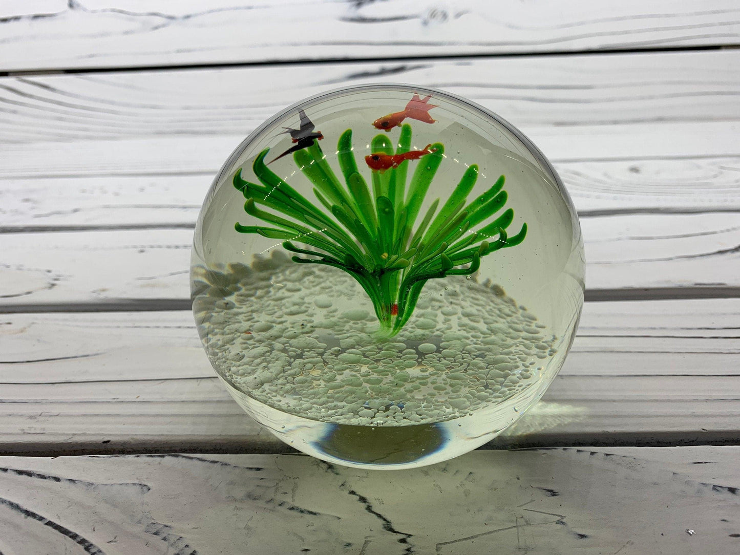 Murano Blown Art Glass Aquarium Paper Weight, Fish and Sea Landscape Scene -Located at Funkyhouse Vintage Antique Store, Weiser Idaho