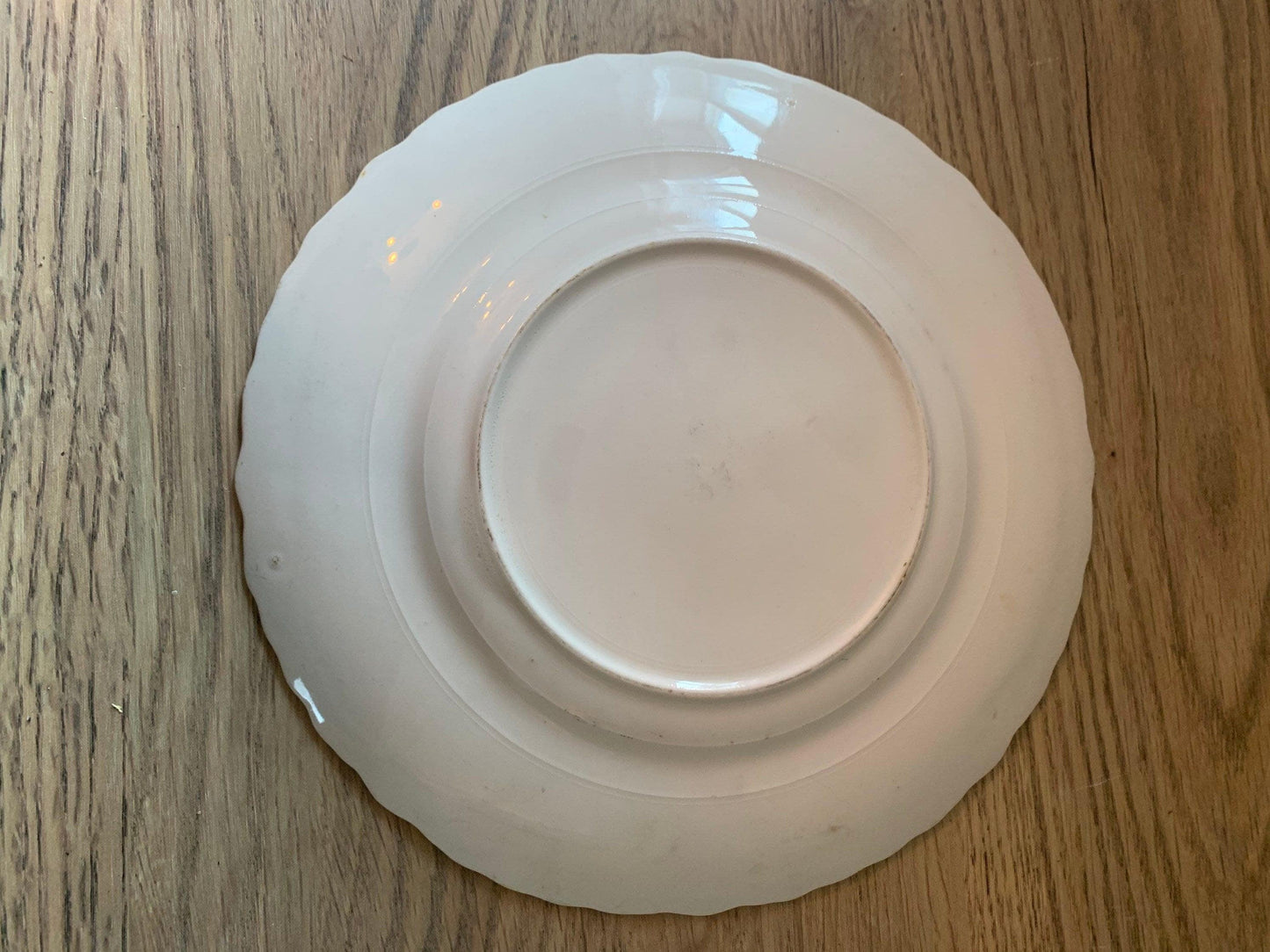 Vintage China Plate, Hand Painted Lusterware With Apple Design And Pale Green Scalloped Edge, Vintage Porcelain Bread Plate -Located at Funkyhouse Vintage Antique Store, Weiser Idaho