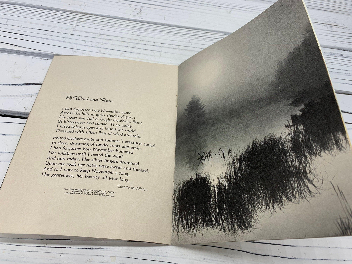 Vintage Thinking Of You At Thanksgiving Booklet, Small Book of Inspirational Poems, Soft Cover -Located at Funkyhouse Vintage Antique Store, Weiser Idaho