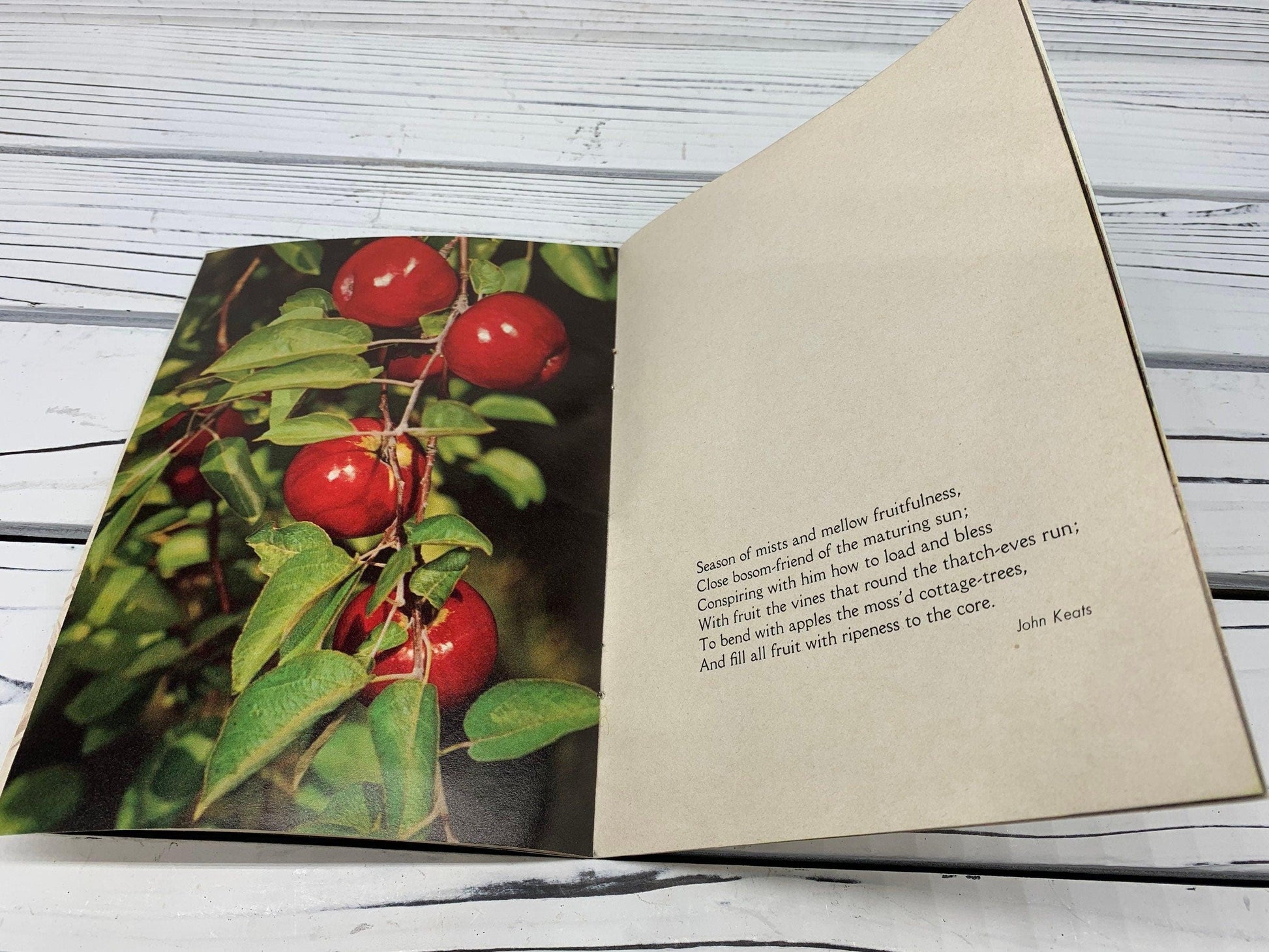 Vintage Thinking Of You At Thanksgiving Booklet, Small Book of Inspirational Poems, Soft Cover -Located at Funkyhouse Vintage Antique Store, Weiser Idaho